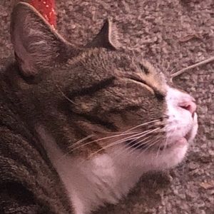 Meet your Posher, Katy